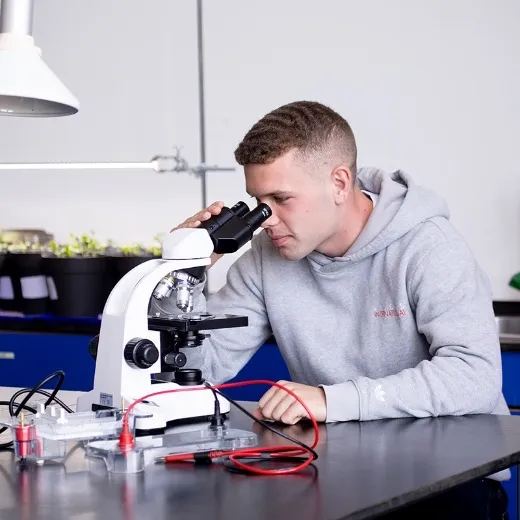 En elev fra Slotshaven Gymnasium sidder ved et bord, og kigger ind i et mikroskop.