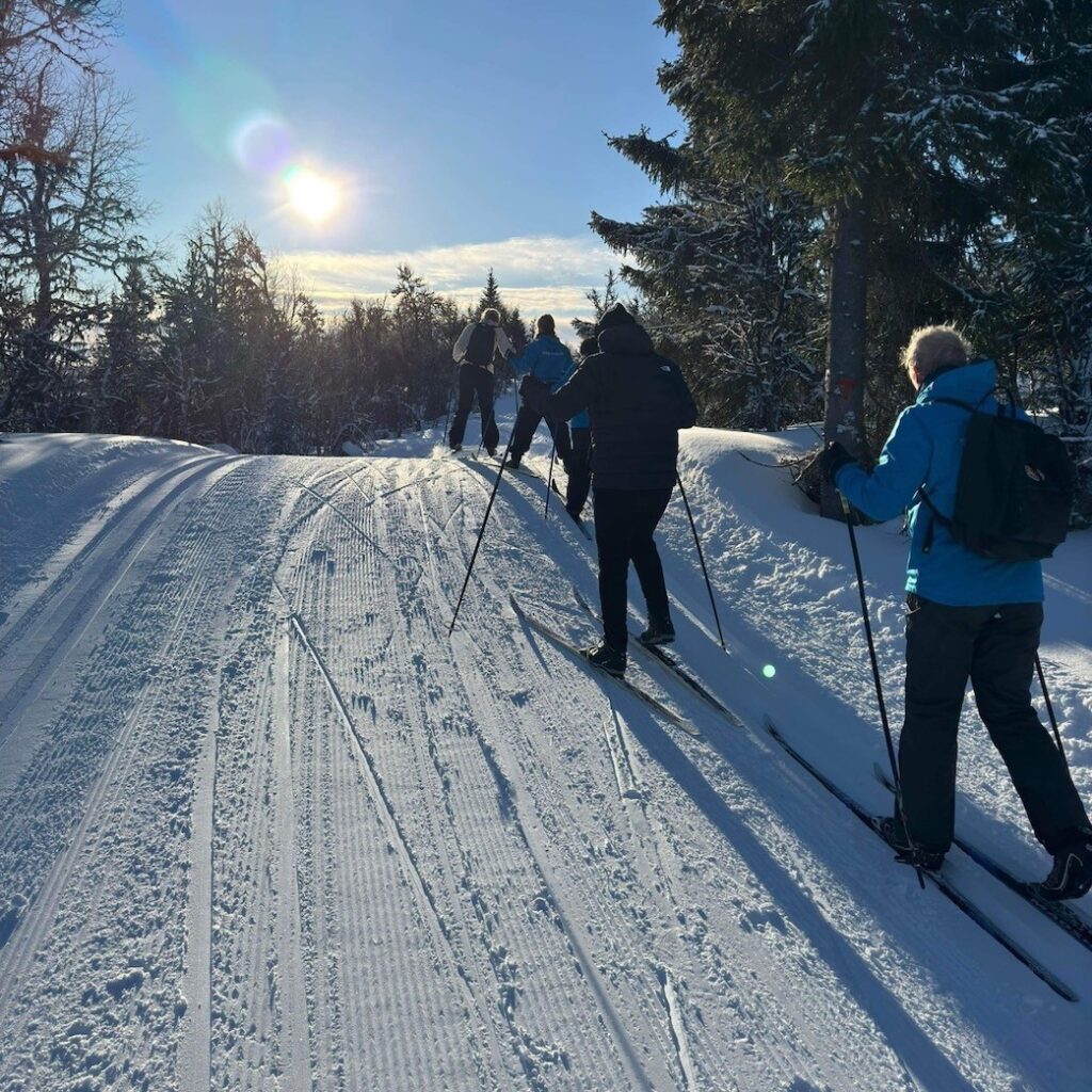 ski_slotsugen